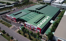 CADIVI tiếp tục khát vọng lớn ‘Toàn cầu hóa thương hiệu’