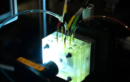 Lần đầu tiên ốc tai được nuôi sống ngoài cơ thể, mở hy vọng chữa mất thính lực