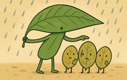 Tục ngữ nói về lòng tương thân tương ái này là gì?