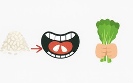 Tục ngữ thể hiện tinh thần đoàn kết, gắn bó này là gì?