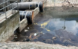 Sông Tô Lịch vừa trong xanh lại tái diễn tình trạng ô nhiễm