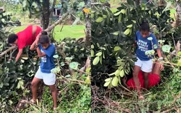 Màn hái mít đi vào lòng đất