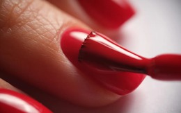 Liên minh châu Âu cấm hóa chất trong sơn móng gel?