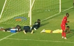 Trận bóng ở Tanzania bị... đàn ong ‘đánh úp’