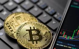 Kiếm tiền từ thế giới trong mảng tài sản số, Việt Nam phải làm gì?