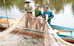 Xuyệt điện tận diệt hết thời ở Cà Mau