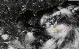 Dự báo tối nay bão Tapah hình thành trên Biển Đông, cường độ cực đại có thể đạt cấp 10
