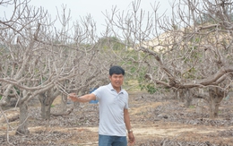 Khu phố Suối Nước cạnh mỏ titan bị 'cạn nước'