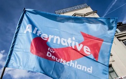 Thực hư chuyện 7 ứng viên Đảng cực hữu AfD qua đời trước cuộc bầu cử địa phương tại Đức