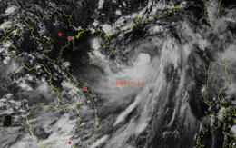 Rìa xa bão Tapah có thể gây dông, lốc ở vịnh Bắc Bộ