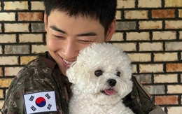 Cha Eun Woo khiến người hâm mộ 'tan chảy' vì khoảnh khắc hội ngộ cún cưng