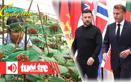 Điểm tin 18h: Mùa thu hoạch hạt sâm Ngọc Linh; Nga - phương Tây thăm dò lẫn nhau