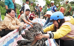Đánh bắt thủy sản không đủ kích thước, thả về tự nhiên được không?
