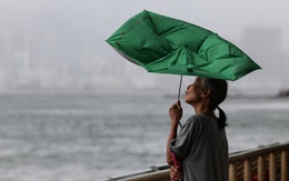 Bão Tapah đổ bộ Quảng Đông, 60.000 người sơ tán