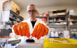 Thêm 'vũ khí' chống ung thư