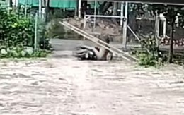 Pha chở hàng không thể cồng kềnh hơn