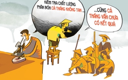 Nông dân 'dài cổ' vì phân bón giả