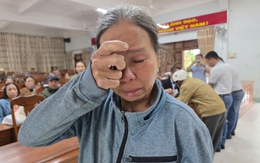 Hành trình từ Bắc vào Trung tiếp sức người dân trồng lại luống rau, mua lại con giống