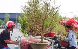 Ngọn đèn đánh thức mùa đoàn viên