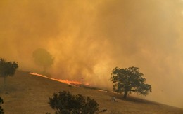 Hình ảnh cháy rừng 'thảm họa' tại bang Victoria, Úc