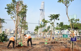 Trồng hàng trăm cây xanh ở công viên bờ sông phía Thủ Thiêm mừng Ngày Cây xanh Việt Nam