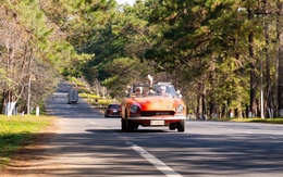 Đấu giá 40 lô đất ở Măng Đen thu gần 270 tỉ đồng, trung bình 6,75 tỉ đồng/lô