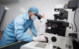 Bản đồ miễn dịch hé lộ điều bất ngờ: Cơ thể người không 'giống nhau' như ta tưởng