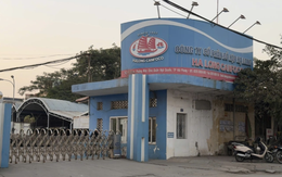 Tổng giám đốc Công ty cổ phần Đồ hộp Hạ Long Trương Sỹ Toàn bị bắt