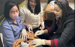 Em bé chào đời an toàn ngay trên tàu hỏa TP.HCM - Hà Nội