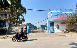 Vụ heo bệnh ở Công ty Đồ hộp Hạ Long: Cục Chăn nuôi và Thú y nói gì?