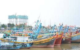 7 tỉnh, thành phía Nam phối hợp chặn khai thác IUU, ngăn tàu cá vượt biển trái phép
