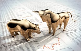 Chứng khoán 13-1: Dòng tiền tích cực hơn, thị trường đang đi lên bền vững?