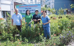 Biến nơi đổ rác bừa bãi thành mảng xanh tại khu dân cư ở TP.HCM