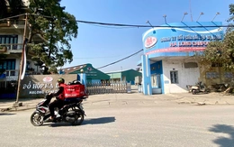 Vụ heo bệnh ở Công ty Đồ hộp Hạ Long: Sở Nông nghiệp và Môi trường Hải Phòng báo cáo gì?