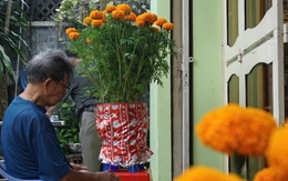 Ba sẽ về theo làn gió xuân