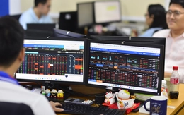 Chưa đến 5% cổ phiếu lập kỷ lục, phần còn lại của thị trường chứng khoán sẽ thế nào?