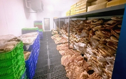 TP.HCM: Phát hiện 50 tấn thịt nhím, nai, đà điểu… làm giả từ thịt heo