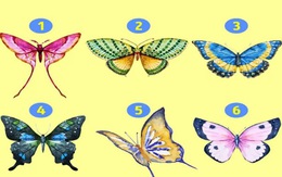 Quiz: Bạn là người lý trí, chín chắn hay sôi nổi, nhiệt huyết