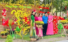 Tết này, về Bình Lợi dạo đường hoa mai vàng dài 3km