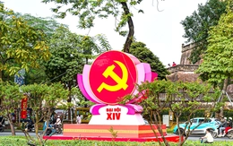 Thích ứng trong biến động toàn cầu