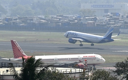 Phi công hãng Air India có độ cồn vượt mức cho phép mà vẫn lên buồng lái