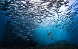 Du lịch Malaysia đặt mục tiêu 80 tỉ USD trong năm 2026