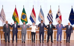 EU - Mercosur và câu chuyện 'đổi bò lấy ô tô'