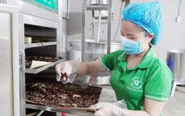 Khát vọng mang hạt ươi bay xa