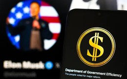 Mỹ cắt 55 hợp đồng liên bang tổng trị giá 1,6 tỉ USD