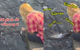 Cô gái đút từng muỗng thức ăn cho cá như đút cho em bé