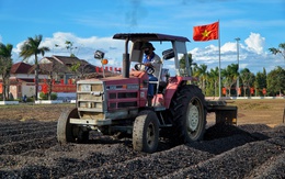 Bắt nhanh nhóm trộm cà phê, giá tăng cao kéo theo nỗi lo mất trộm