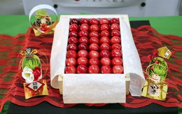 Anh đào Nhật thu hoạch giữa mùa đông, đấu giá tới 11.500 USD/thùng 68 trái