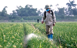 Điểm mới trong danh mục thuốc bảo vệ thực vật được phép sử dụng tại Việt Nam