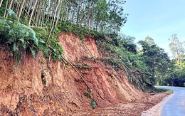 Rừng keo - cây xóa đói giảm nghèo và nỗi lo sạt lở?